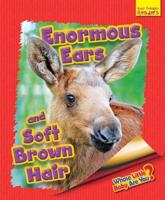 Enormous Ears and Soft Brown Hair
