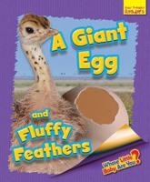 A Giant Egg and Fluffy Feathers