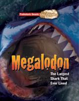 Megalodon