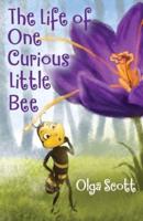 The Life of One Curious Little Bee