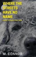 Where the Streets Have No Name: A guide to homing street dogs