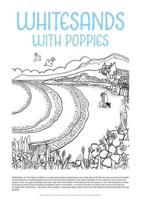 Helen Elliott Poster: Whitesands With Poppies