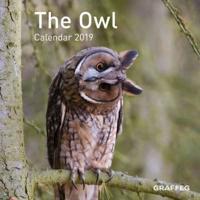 Owl Calendar 2019, The