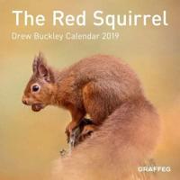 Red Squirrel Calendar 2019, The