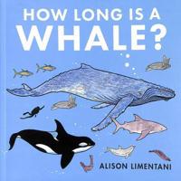 How Long Is a Whale?