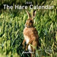 Hare Calendar 2020, The