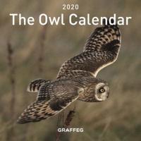 Owl Calendar 2020, The