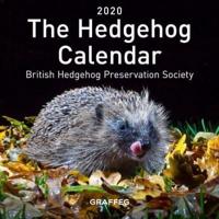 Hedgehog Calendar 2020, The