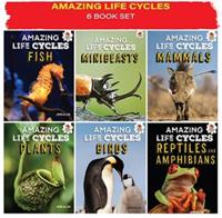 AMAZING LIFE CYCLES 6 PACK