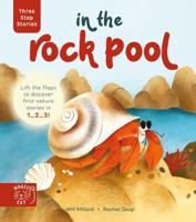 In the Rock Pool