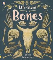 Life-Sized Bones