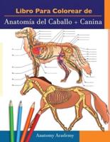 Libro Para Colorear De Anatomía Del Caballo + Canina