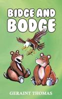 Bidge and Bodge