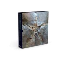 Beyond Extinction: The Eternal Ocean COLLECTORS EDITION Limited to 100 Copies