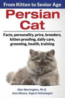 Persian Cat: From Kitten to Senior Age