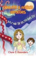 Charlotte and Arthur's Adventures - Yule & The Helter Skelter
