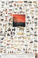 Rare & Endangered Mammals of Africa Poster