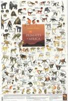Primates of Africa Poster