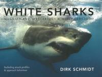 White Sharks