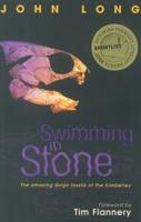 Swimming in Stone