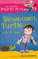 Slowcoach Turtle