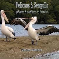 Pelicans & Seagulls: Photos and Outlines to Inspire