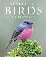 Australian Birds in Pictures