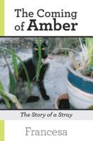 The Coming of Amber: The Story of a Stray