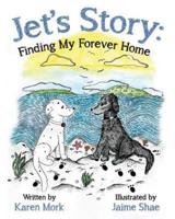 Jet's Story: Finding My Forever Home
