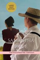 The Amish Widower's Promise LARGE PRINT