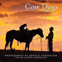 2018 Cow Dogs Calendar