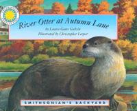 River Otter at Autumn Lane