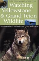 Watching Yellowstone and Grand Teton Wildlife