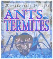 Ants & Termites