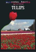 Tulips. DVDDASE8