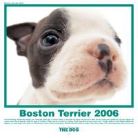 Boston Terrier Calendar 2006