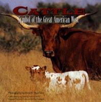 Cattle