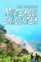 Mysterious Encounter