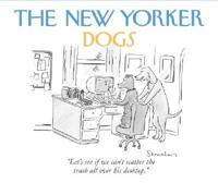 The New Yorker Dogs Quicknotes