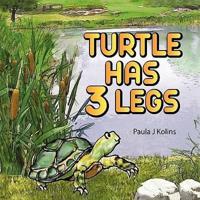 Turtle Has 3 Legs