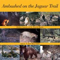 Ambushed on the Jaguar Trail