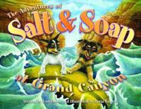 The Adventures of Salt and Soap at Grand Canyon