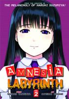 Amnesia Labyrinth. Vol. 2