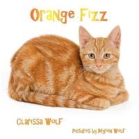 Orange Fizz