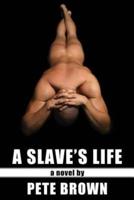 A Slave's Life