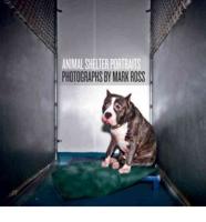 Animal Shelter Portraits