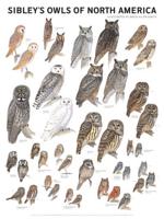 Sibley's Owls of North America