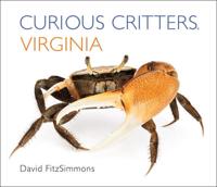 Curious Critters Virginia