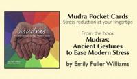 Mudra Pocket Cards