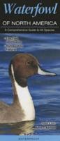 Waterfowl of North America